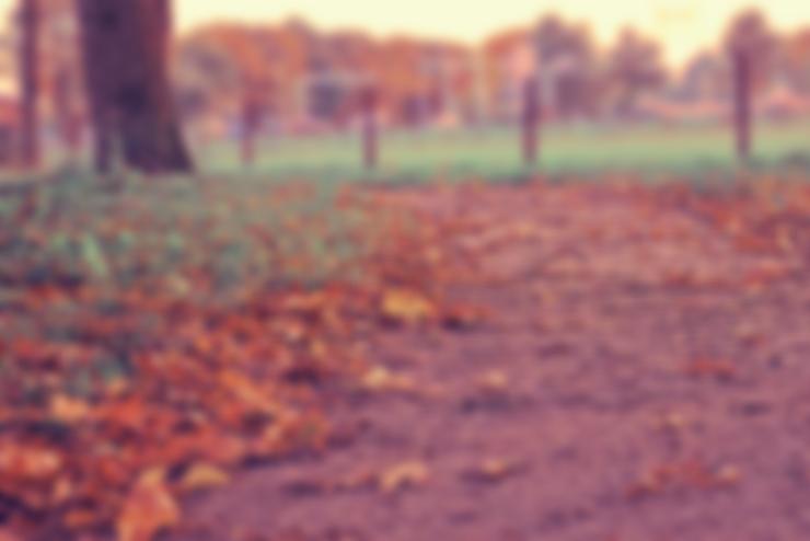 ادوات لتجهيز الهروس 